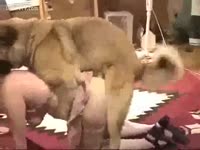 Homemade Zoophilia animal sex at home